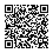 Über WhatsApp kontakt zur Programmierfirme in Schwerin aufnehmen